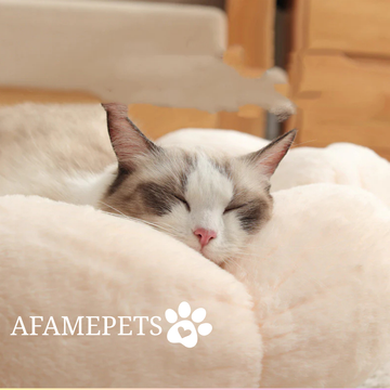 Afame SoftNest